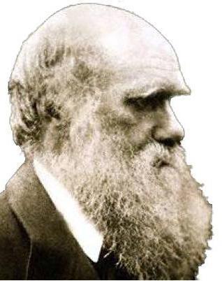 Charles Darwin had thoughts about parasitic insects I cannot