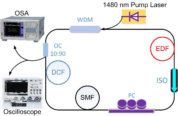 Figure 4.5: A schematic of the Erbium-doped fiber ring laser. EDF: Erbium-doped fiber. SMF: Single mode fiber. DCF: Dispersion compensation fiber. WDM: Wavelength division multiplexer.