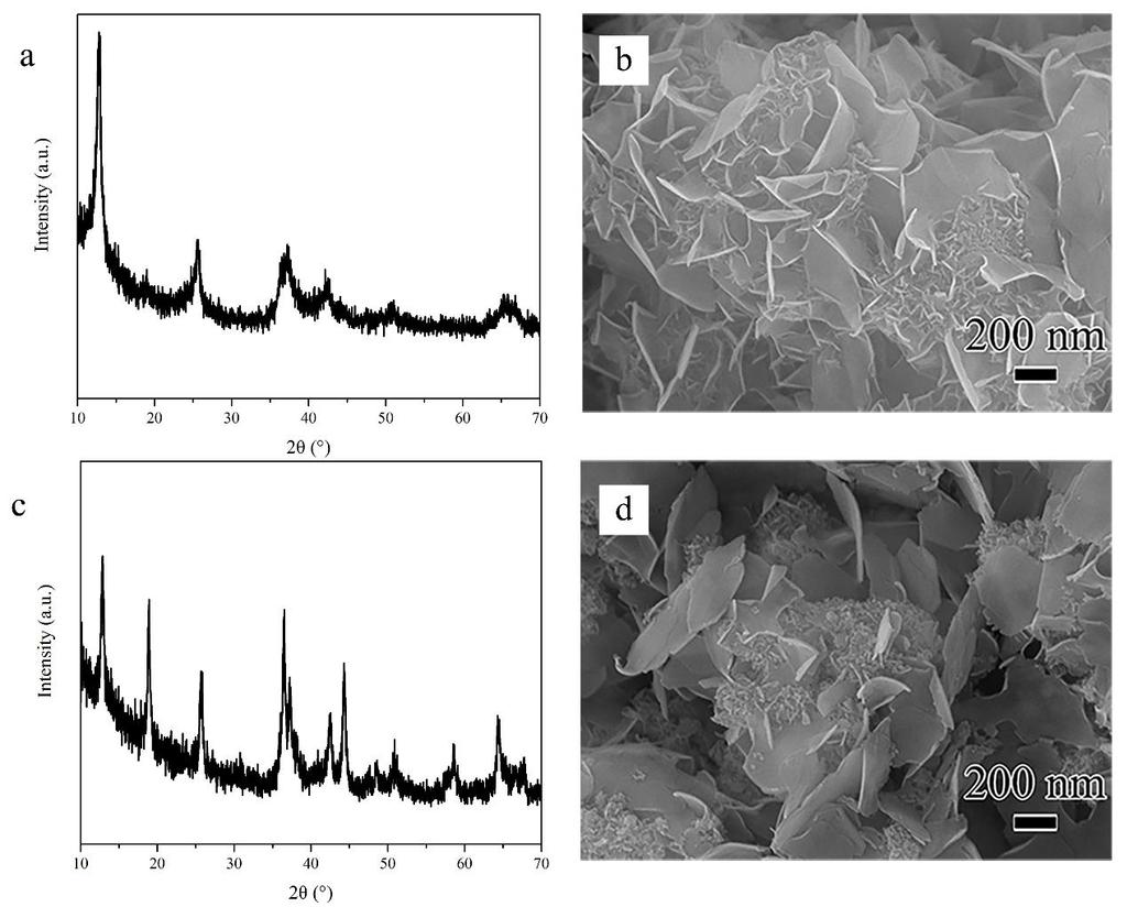 Fig. S1 Phase characterization and morphology of hydrothermal products at intermediate time.