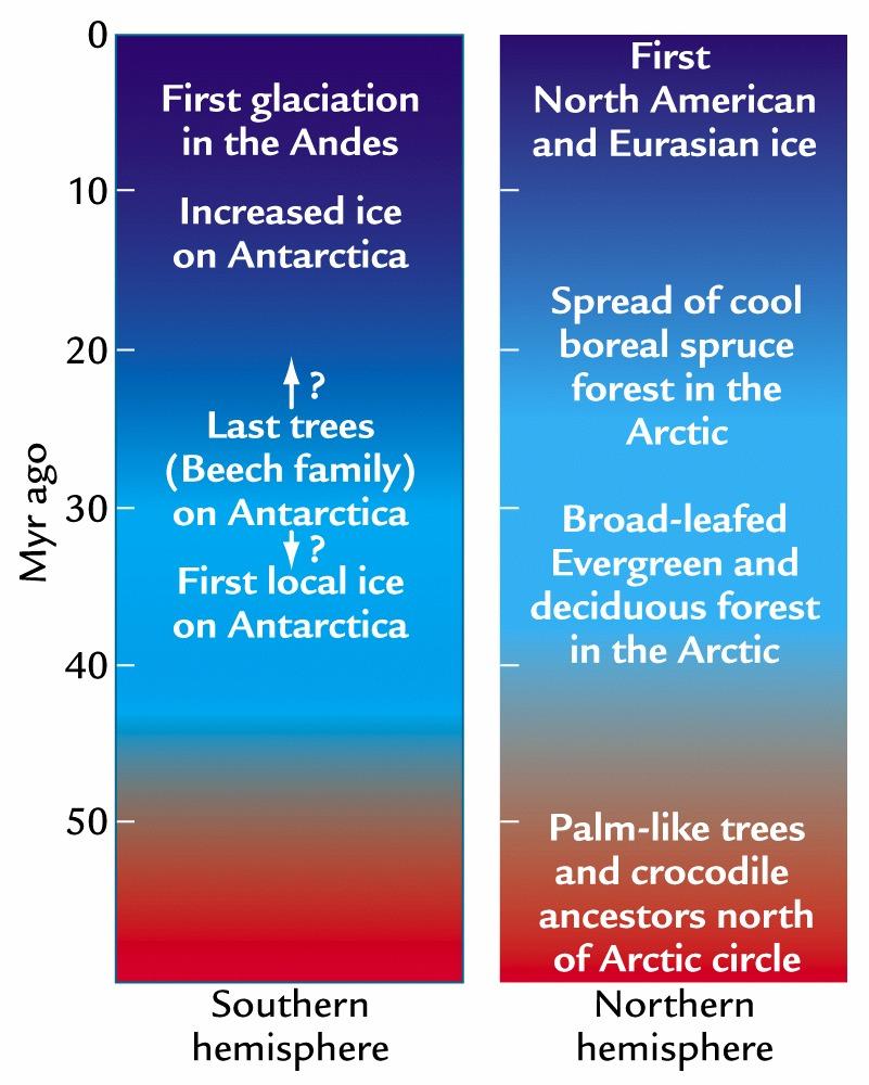 Evidence from ice & vegetation In the southern hemisphere, no evidence exists for ice on Antarctica