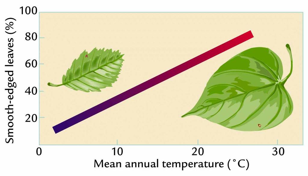 The reason for this relationship is not known, but the correlation with temperature in the modern vegetation is so strong that climate