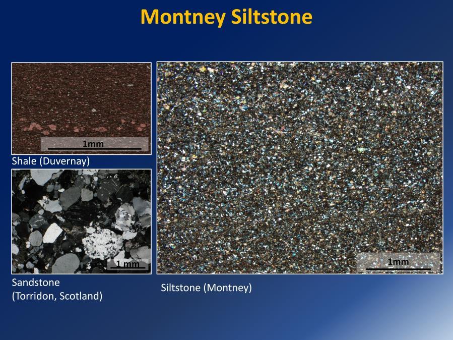 Presenter s notes: The Montney, though considered a shale play, is actually siltstone reservoir.