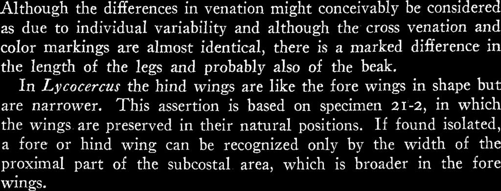 19691 Kukalovd -- Palaeodictyoptera 45 1 Although the differences in venation might conceivably be considered as due to individual variability and although the cross venation and color markings are