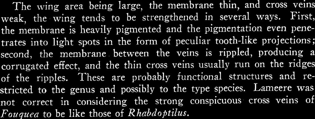 venation, cross veins and color markings. Nevertheless, there are some differences in wing membrane characters between these genera, most proba.bly of functional significance, as noted below.