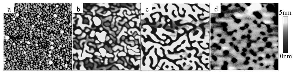 Silver-film morphologies percolation Atomic force-microscopy pictures (500 nm 500 nm) of silver films grown at 300K on MgO(001), average film thickness: (a) 1nm Ag; (b) 3.