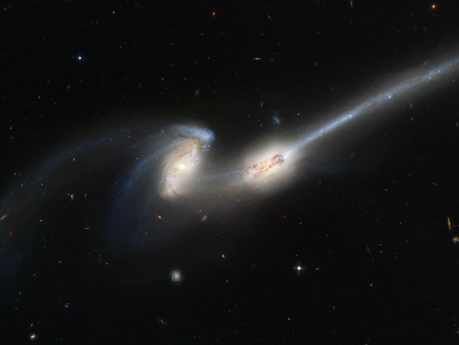 other galaxies can remove stars,