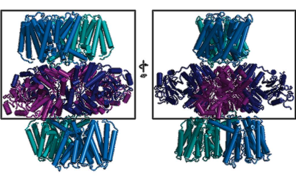 Supplementary Figure 6: Crystal packing in the TrkH-TrkA complex structure.