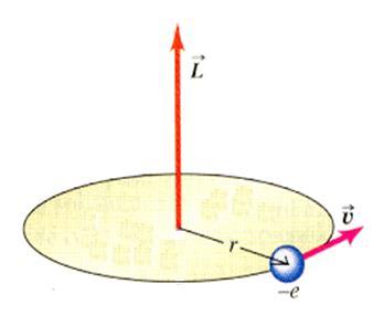 Orbital (angular) momentum of electron L mr v angularni