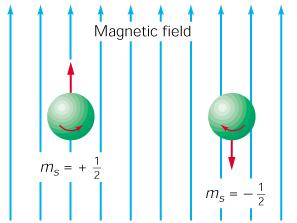 In external magnetic field discrete