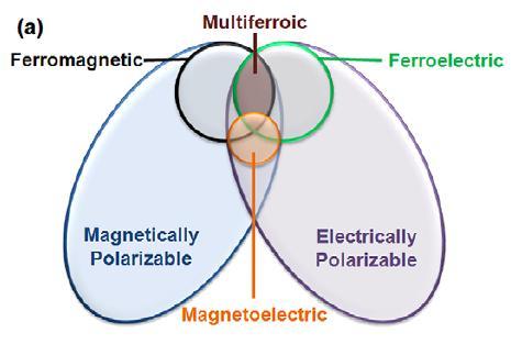 Multiferroic ME Ferroelectricity: d 0 B-cations,