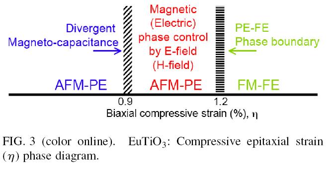 Example I: strained EuTiO 3, theory EuTiO 3 : Anti-ferromagnet T C ~ 5 K, paraelectric When bi-axially strained: can