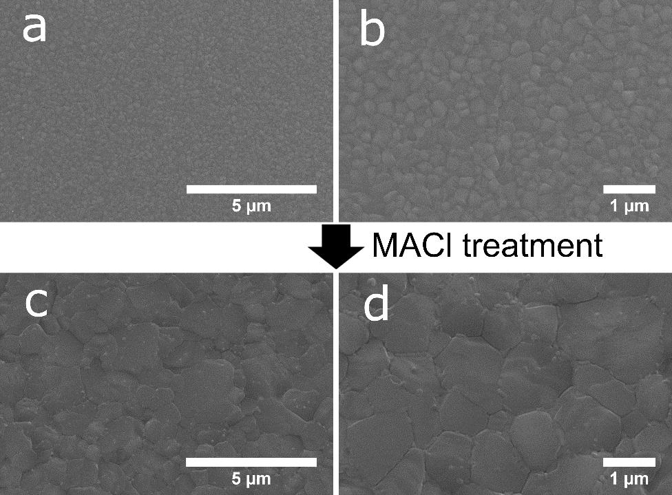 Comparison of solar cell performance with or without MACl treatment Figure S6. Detailed device parameters of solar cells made with MACl treatment and control devices.