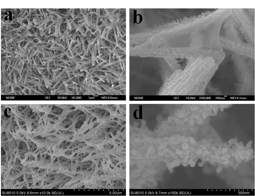 Fig. S2 The SEM images of (a) Cu/Cu(OH) 2 ;