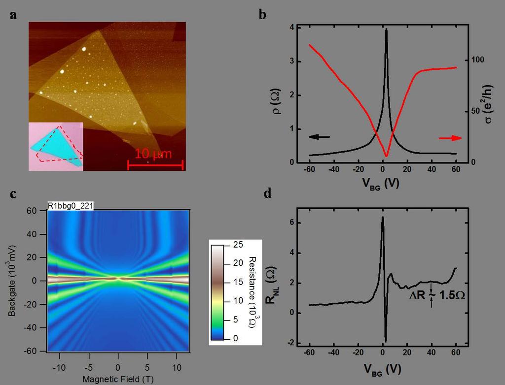 Supplementary Figure 11 Charge transport in non-annealed samples. (a-b) Optical and AFM images of a transferred graphene on WS 2 substrate.