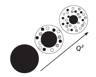 SPIN OF THE PARTICLE IN ITS SCALE DEPENDENT PICTURE Two questions: How much do the virtual particles surrounding bare particle contribute to the spin of corresponding real, dressed particle?