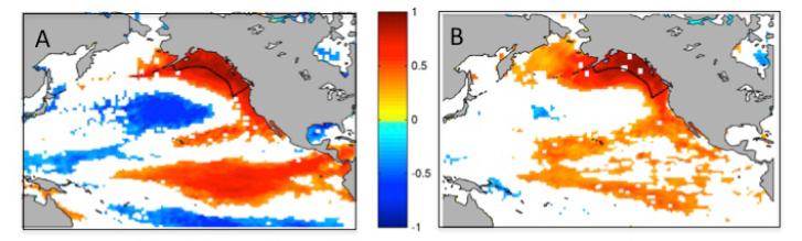 Forecast captures seasonal transi&on between less predictable localized SST anomaly and more predictable basin-scale pauerns Correlation between March GoA SST anomaly and SST