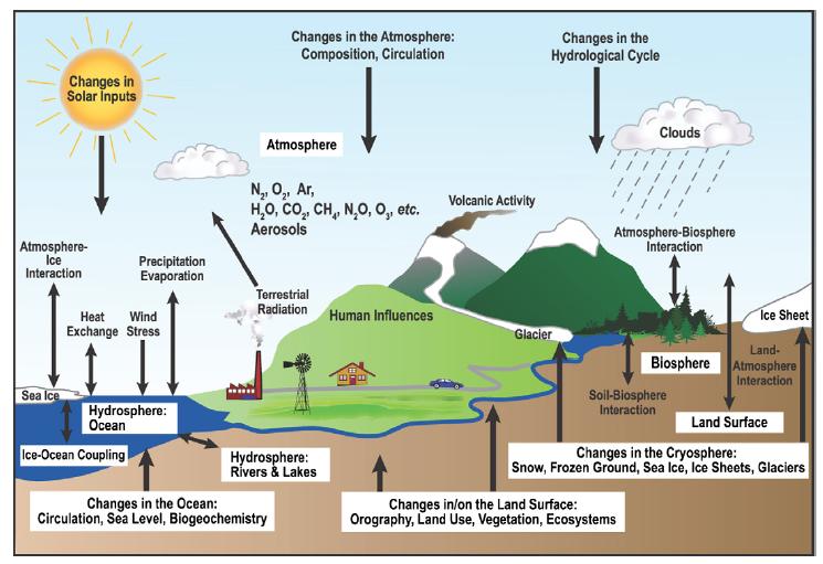 Complex ecosystem responses to climate forcing