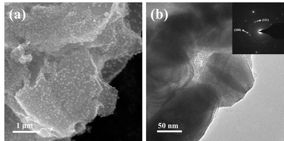 Fig. S4 (a) SEM image and (b) TEM image of
