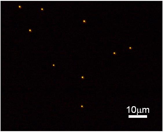 S14. Experimental Setup and darkfield images of d=1nm Au NPs.