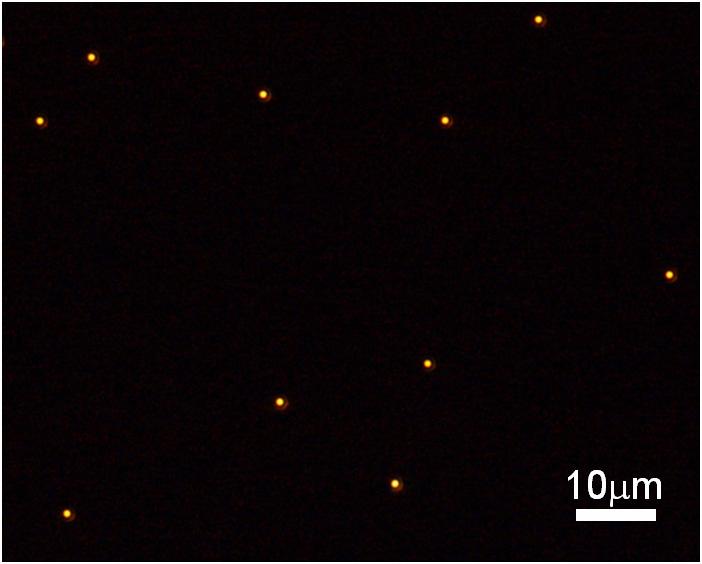 Two typical darkfield images of d=1nm Au NPs supported on a