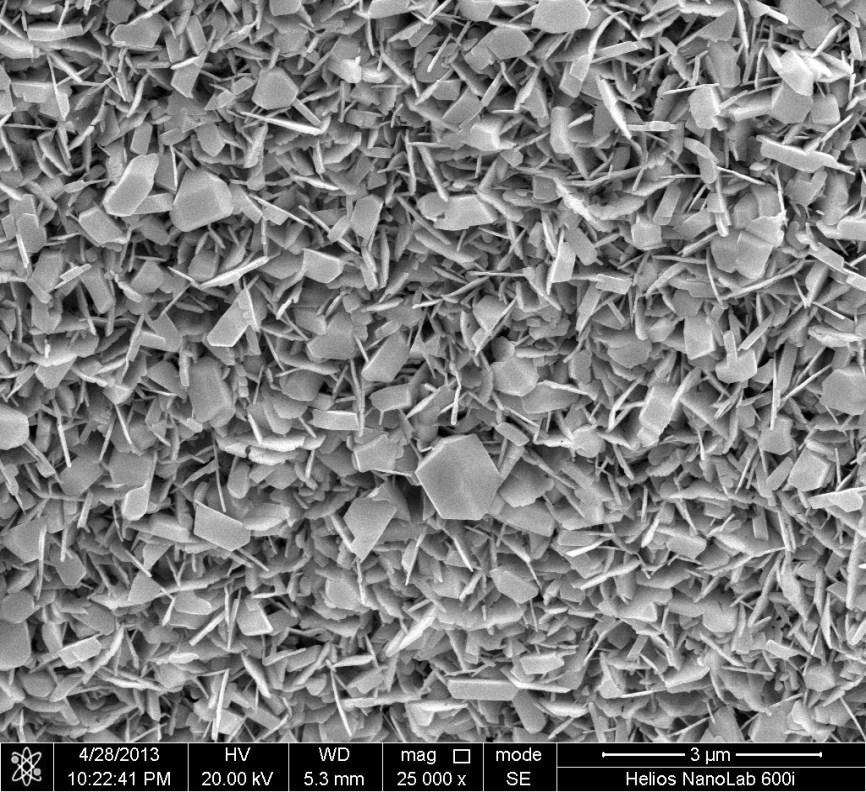 Fig. S1 SEM image of Ag nanostructures supported on