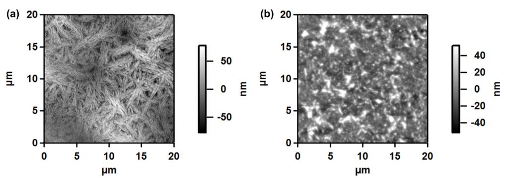 3) AFM images of trials with different solvents, template, and spin coating conditions Figure S1.