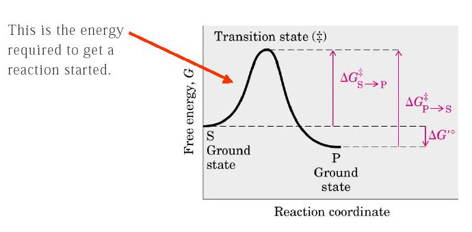 Diagram of chemical reaction path Ground state is a base line state of molecules with low kinetic energy.
