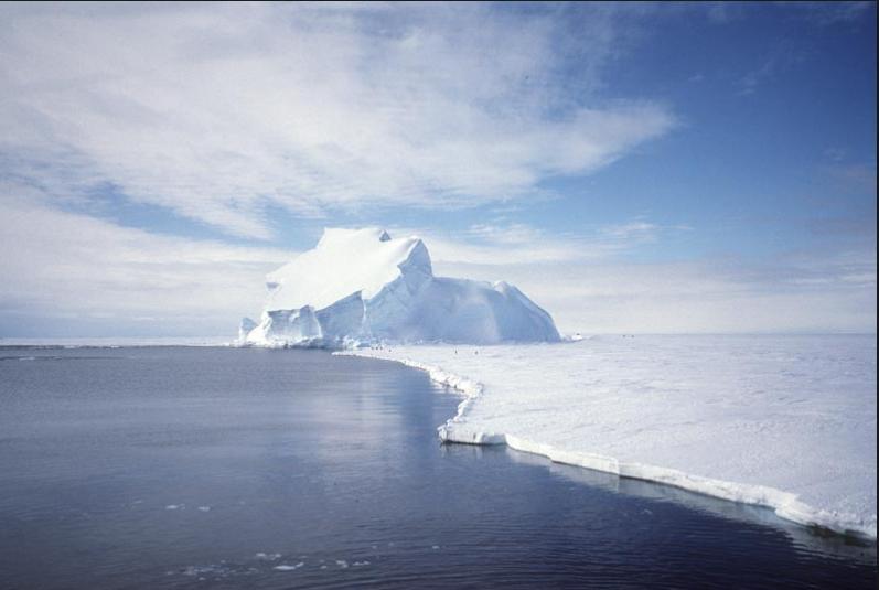 Pack Ice: (Sea Ice)They are large sheets of ice found in the oceans