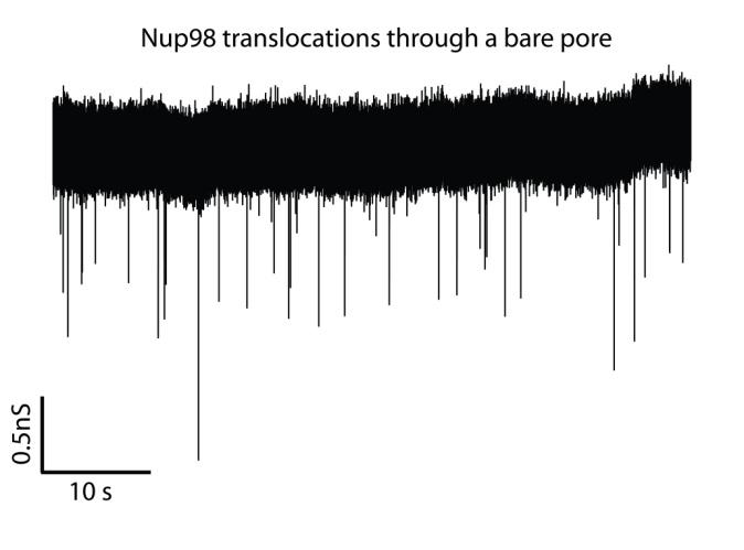 Figure S3. Nup98 translocation through a bare pore. (left) Example trace after addition of Nup98 in a bare pore. Downward spikes appear in the current trace upon addition of Nup98.