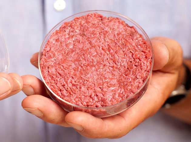 Tissue engineering Conclusions References Lab-grown meat Imagine we want a tendon with a