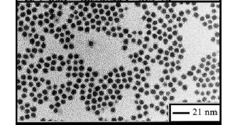 nanoparticles (Murray et al MRS Bulletin 2001)