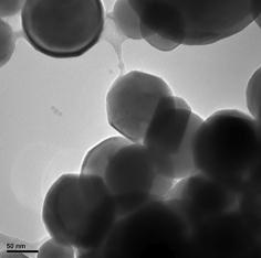 5: TEM images of La2O3:Bi nanophosphors by microwave