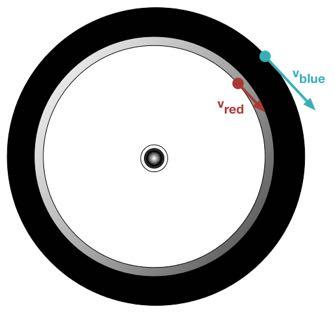 2 Two markers, red and blue, are attached to a bike wheel as shown. The bike wheel rotates uniformly about its horizontal axis.