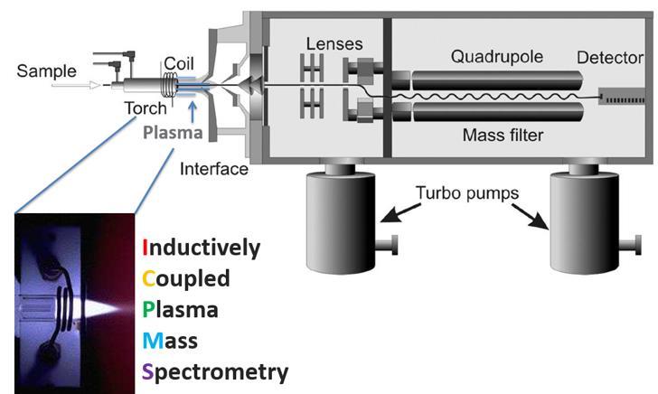 Inductively Coupled Plasma - Mass Spectrometry (ICP-MS) Requires small amounts of material (<1 gram) Destructive technique Directly measures the 232 Th and 238 U atoms in materials Relatively fast,