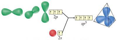 Carbon chemical bonds Carbon: Z6 4 valence electrons 2s 2 2p 2 sp 3