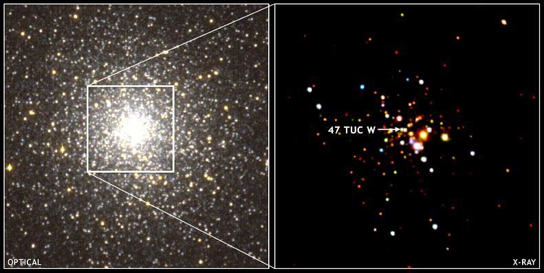 Binaries in globular clusters Hundreds close XRB and millisecond pulsars are found in globular clusters
