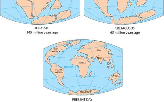 All of these questions can be answered with an understanding of tectonic plates. The outer shell of our planet is the earth s crust. Below the crust is the mantle.