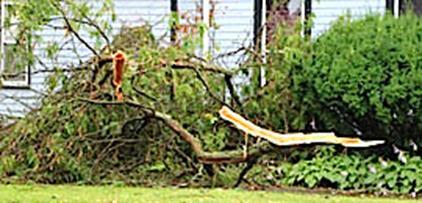 VOLUME 4, ISSUE 5 HOT CALLS PAGE 2 County Storms Storm knocks down limbs, knocks out power A storm that moved through Schuyler County at about 3:25 p.m. Thursday brought down various tree limbs (right), roiled waterfalls and knocked out power -- including for three-and-ahalf hours in Odessa.