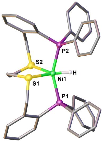 Figure S8. Molecular Structure (50% probability thermal ellipsoids) of [1-H]BF 4. For clarity, the BF 4 - counter anions are not shown and hydrogen atoms except for the hydride ligand are omitted.