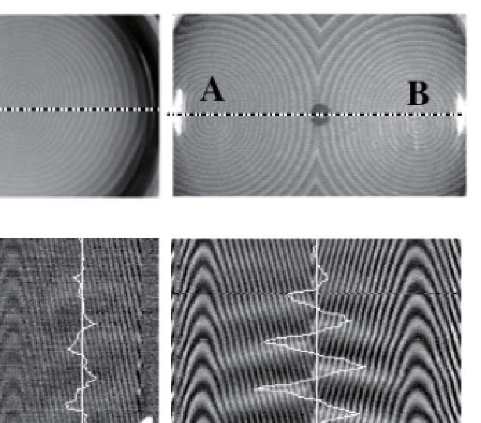 The line plotted in (b) is the velocity measured between the spiral center and the boundary of petri dish. (a) OSP1 system. (b) OSP2 system. (c) TSPs system. flows were directed outward (see Figs.
