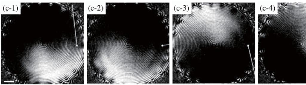 These are single chemical waves propagating with constant velocity, accelerating propagation of the big wave, and rotating spiral waves. All of these dynamics are accompanied by a variety of CDCs.