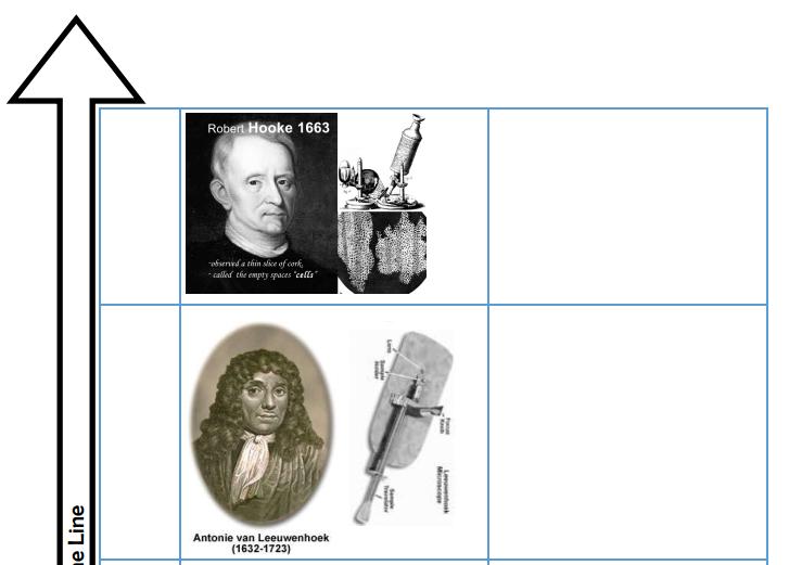 Time Line of Cell Theory Date: 1665 Robert Hooke -Used early compound microscope -Saw 1 st dead cell
