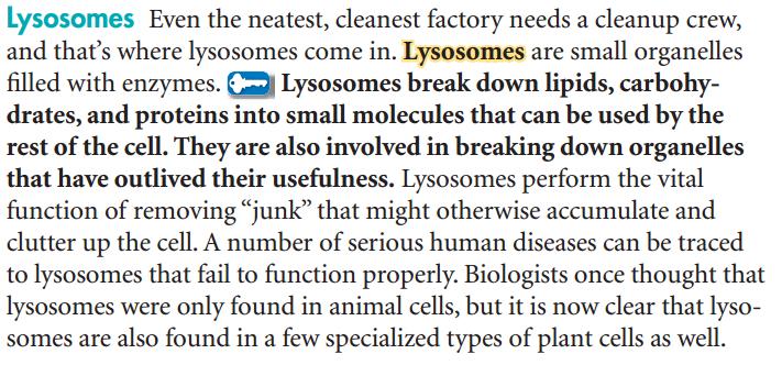 Lysosome Digest excess or