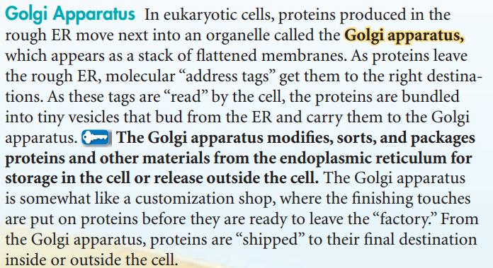 proteins & lipids.