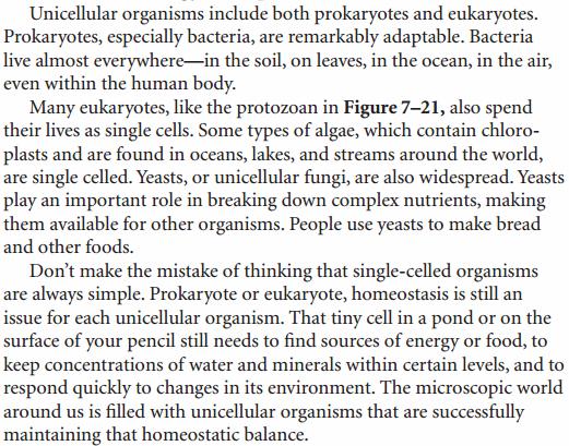 Unicellular Life: single celled organisms Prokaryotes: remarkably adaptable, can live almost everywhere- soil, on