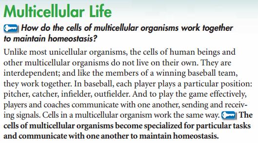 Multicellular Life: cells work together as a unit= interdependent (depend on each other to