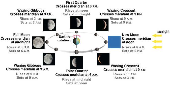 The Phases of the Moon Eclipses occur when the Sun, Earth, and Moon are in a line The figure above