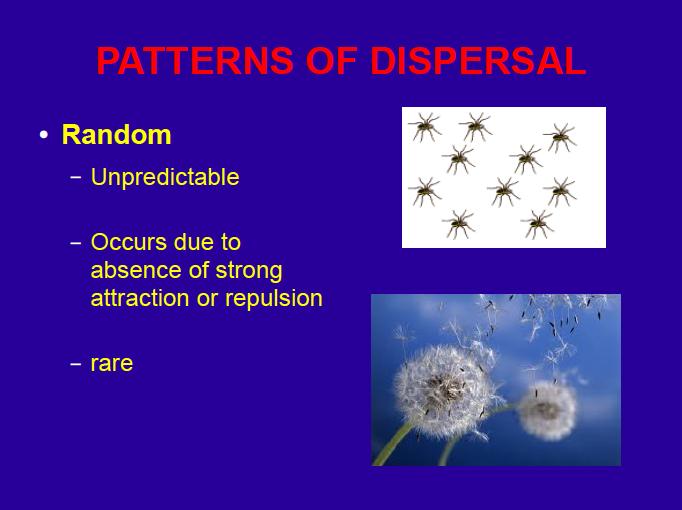 Patterns of Dispersal Random Unpredictable Occurs