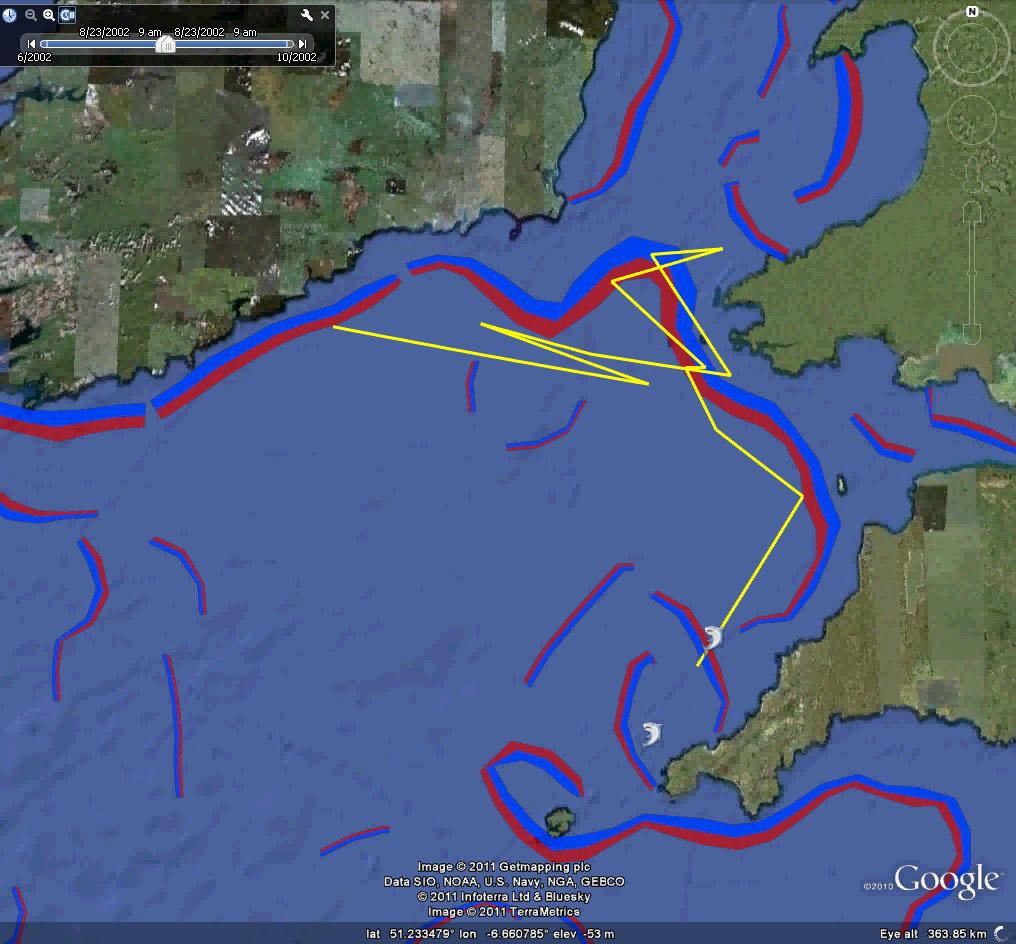 Basking shark track vs. synoptic fronts Weak Key Warm Cold Strong 24 Aug. 15 Oct.