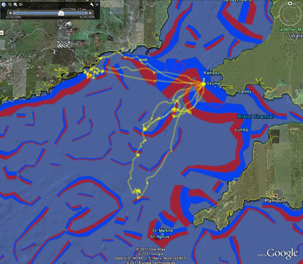 Gannets tracked using GPS loggers Key